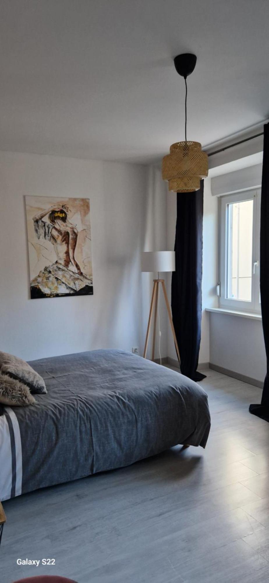 Cosy Appartement Complet Centre-Ville Montbeliard Ngoại thất bức ảnh
